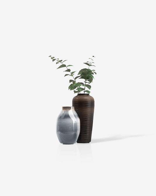 Bonsai desktop 8 - donaport-tiko
