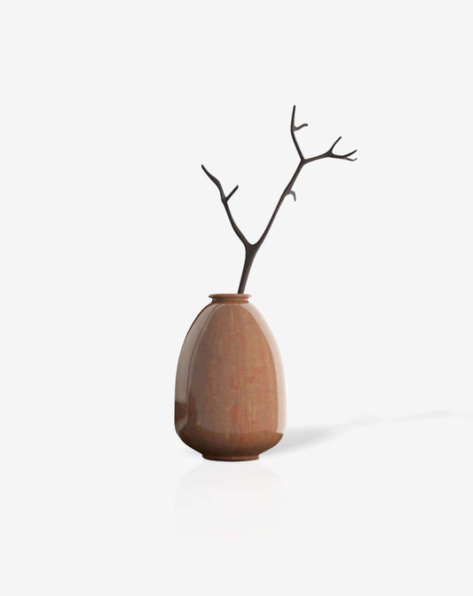 Bonsai desktop 11 - donaport-tiko