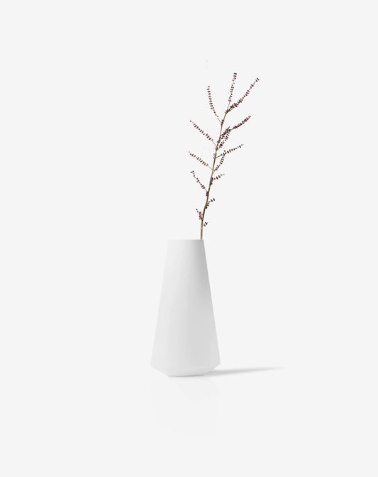 Bonsai desktop 12 - donaport-tiko