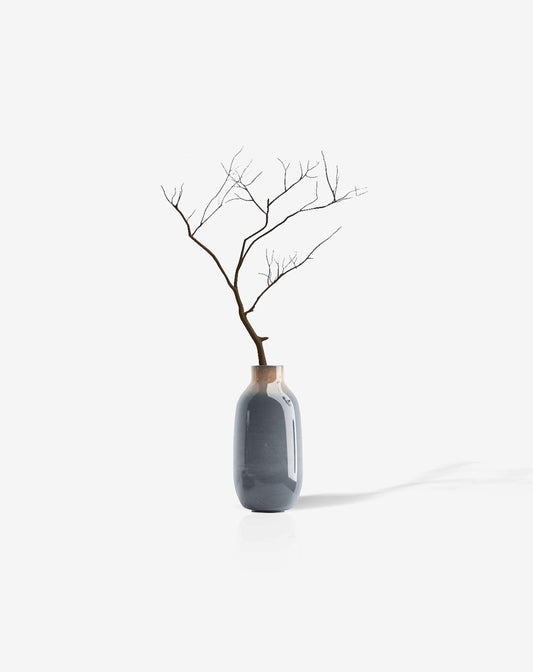 Bonsai desktop 13 - donaport-tiko